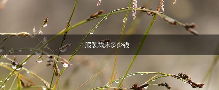 服装裁床多少钱,第1张