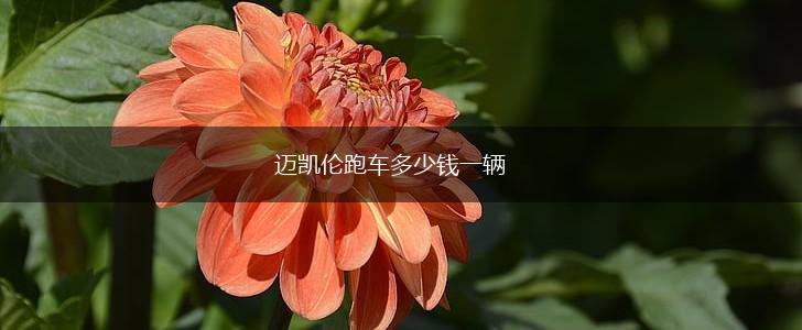 迈凯伦跑车多少钱一辆,第1张