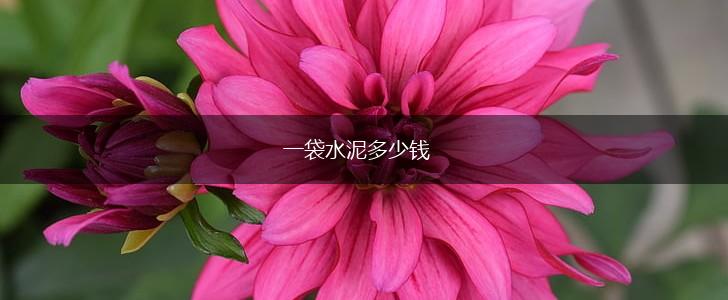一袋水泥多少钱,第1张