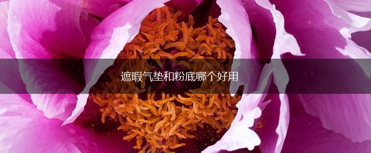 遮暇气垫和粉底哪个好用,第1张