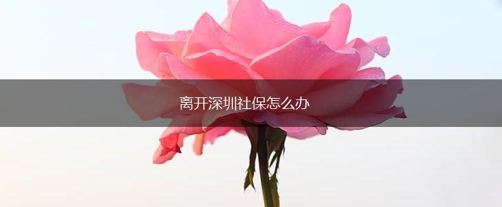 离开深圳社保怎么办,第1张