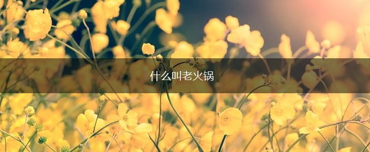 什么叫老火锅,第1张