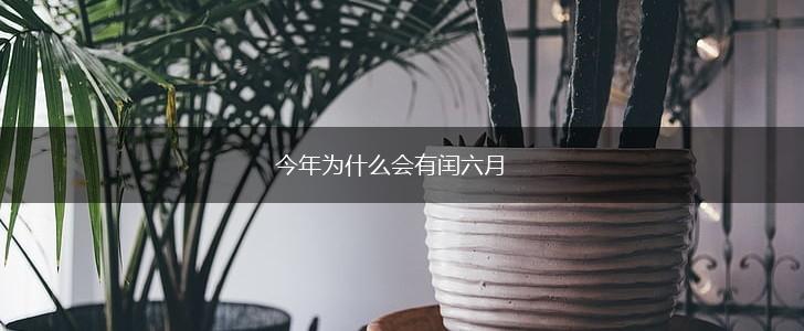 今年为什么会有闰六月,第1张