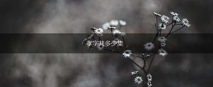孝字共多少集,第1张