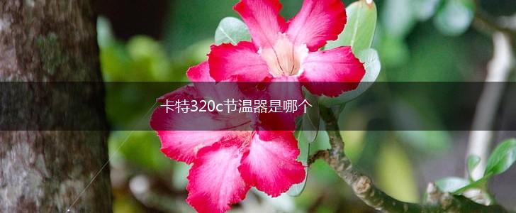 卡特320c节温器是哪个,第1张