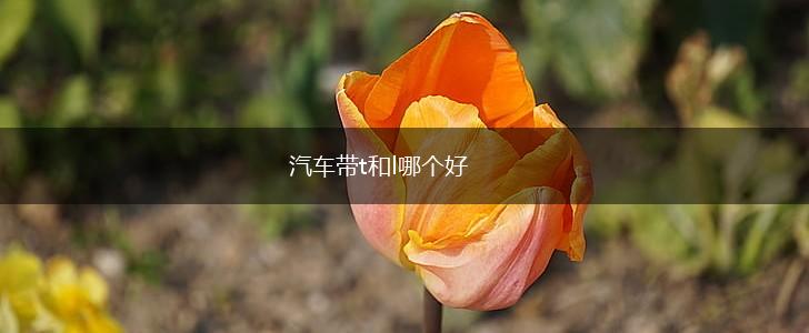 汽车带t和l哪个好,第1张