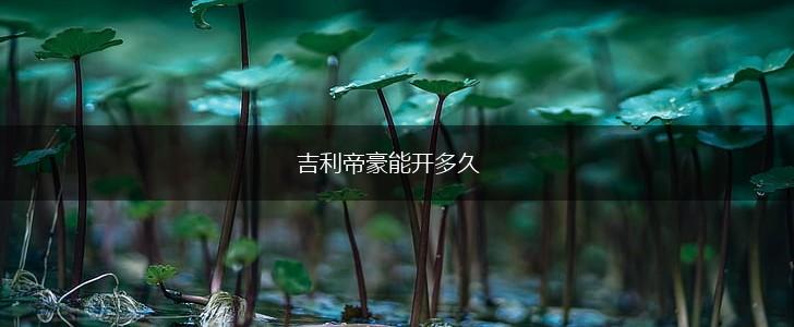 吉利帝豪能开多久,第1张