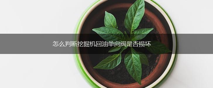 怎么判断挖掘机回油单向阀是否损坏,第1张
