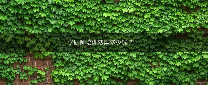 学厨师培训费用多少钱？,第1张