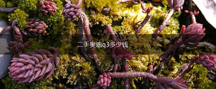 二手奥迪q3多少钱,第1张