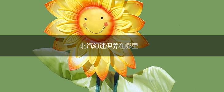 北汽幻速保养在哪里,第1张
