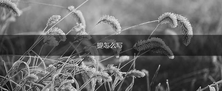提怎么写,第1张