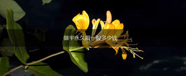 做半永久眉一般多少钱,第1张
