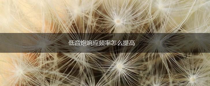 低音炮响应频率怎么提高,第1张