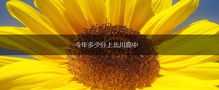 今年多少分上北川高中,第1张