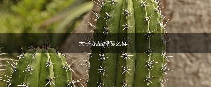 太子龙品牌怎么样,第1张