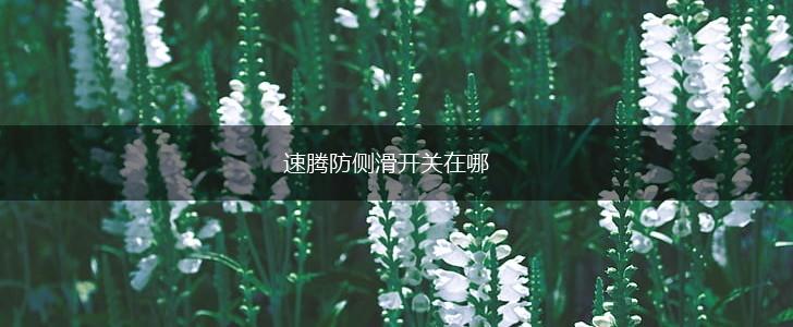 速腾防侧滑开关在哪,第1张