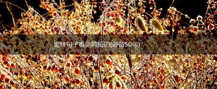 姐妹句子唯美简短的(必备50句),第1张