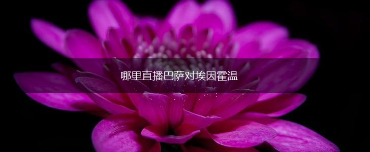 哪里直播巴萨对埃因霍温,第1张
