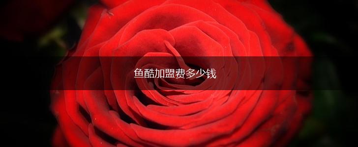 鱼酷加盟费多少钱,第1张