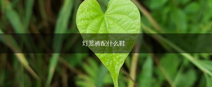 灯笼裤配什么鞋,第1张