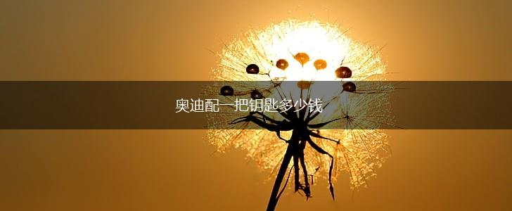 奥迪配一把钥匙多少钱,第1张