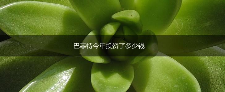 巴菲特今年投资了多少钱,第1张