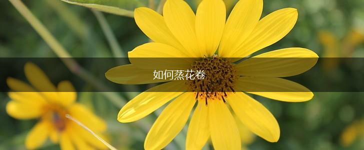 如何蒸花卷,第1张