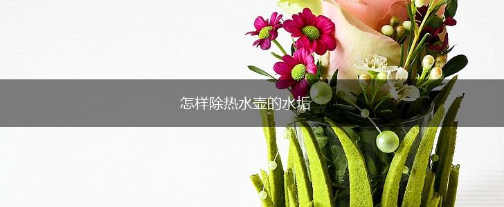 怎样除热水壶的水垢,第1张