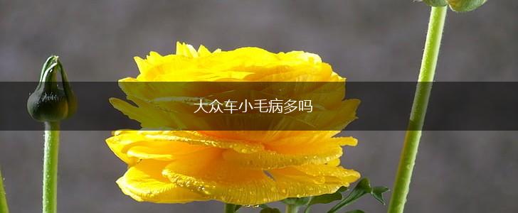 大众车小毛病多吗,第1张