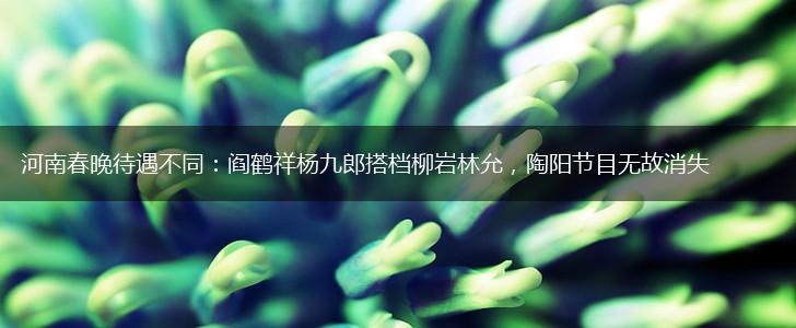 河南春晚待遇不同：阎鹤祥杨九郎搭档柳岩林允，陶阳节目无故消失,第1张