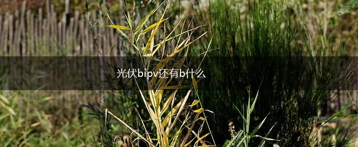 光伏bipv还有b什么,第1张