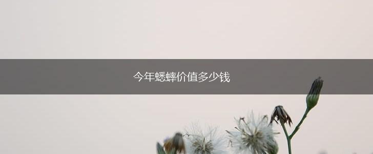 今年蟋蟀价值多少钱,第1张
