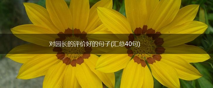 对园长的评价好的句子(汇总40句),第1张