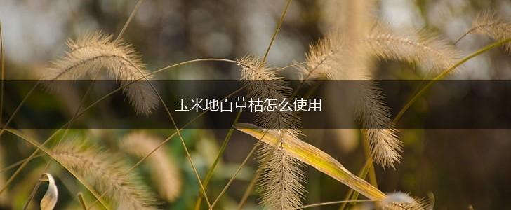 玉米地百草枯怎么使用,第1张
