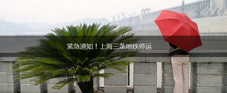 紧急通知！上海三条地铁停运,第1张