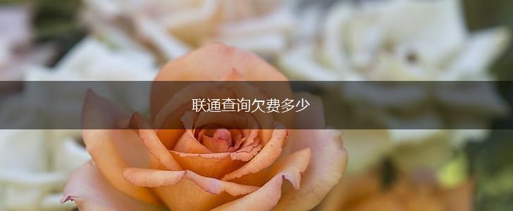 联通查询欠费多少,第1张