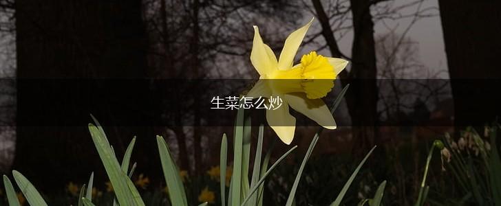 生菜怎么炒,第1张