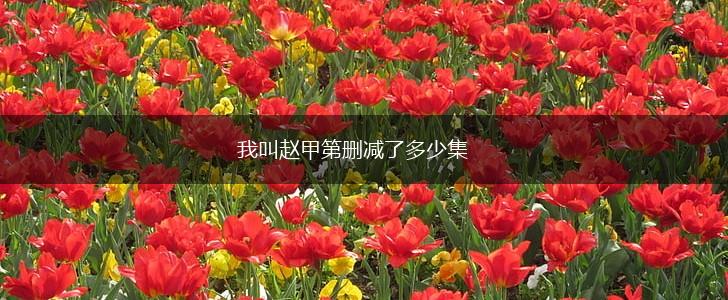 我叫赵甲第删减了多少集,第1张