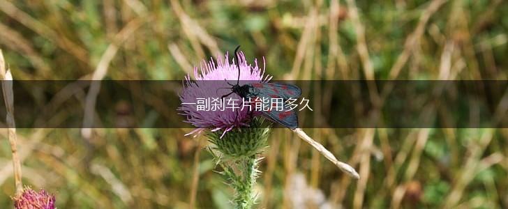 一副刹车片能用多久,第1张