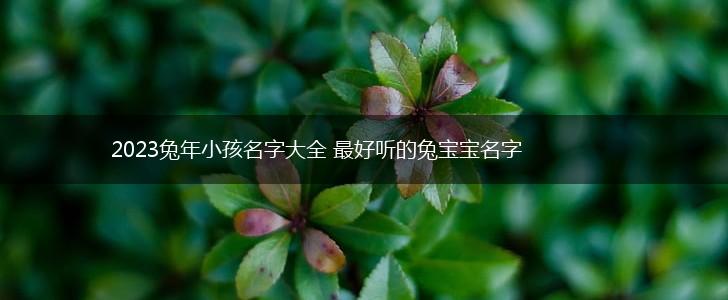 2023兔年小孩名字大全 最好听的兔宝宝名字,第1张