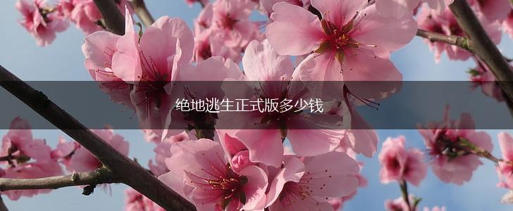 绝地逃生正式版多少钱,第1张