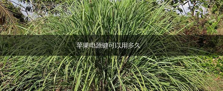 苹果电源键可以用多久,第1张