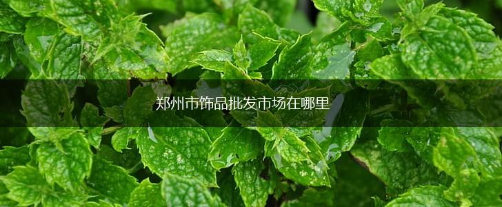郑州市饰品批发市场在哪里,第1张