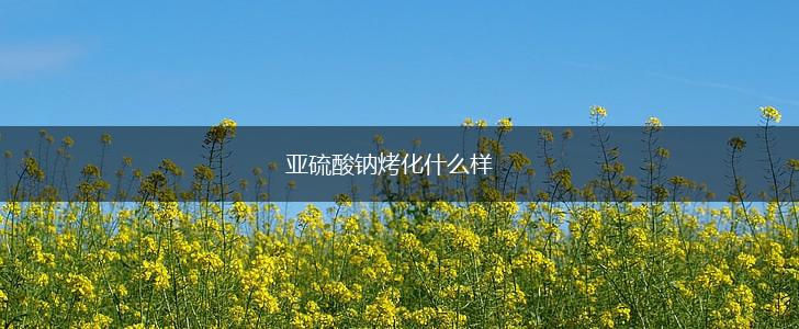 亚硫酸钠烤化什么样,第1张