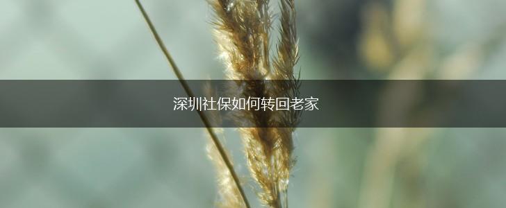 深圳社保如何转回老家,第1张