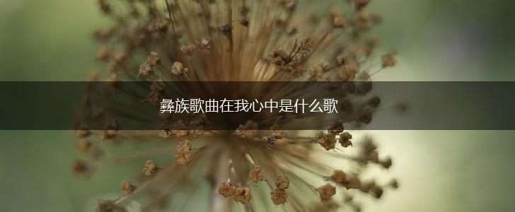 彝族歌曲在我心中是什么歌,第1张