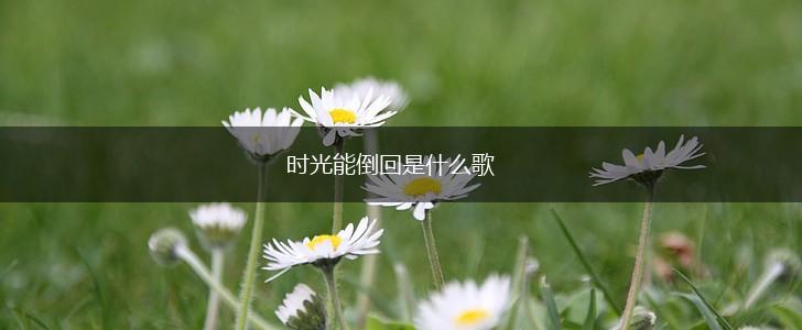 时光能倒回是什么歌,第1张