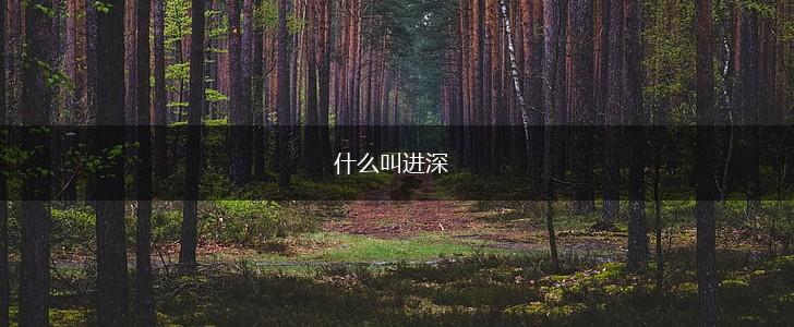 什么叫进深,第1张