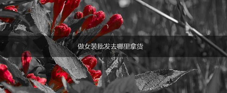 做女装批发去哪里拿货,第1张
